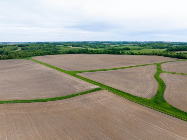 0 Capp, MORRISON, Illinois 61270, ,Land,For Sale,Capp,202502915