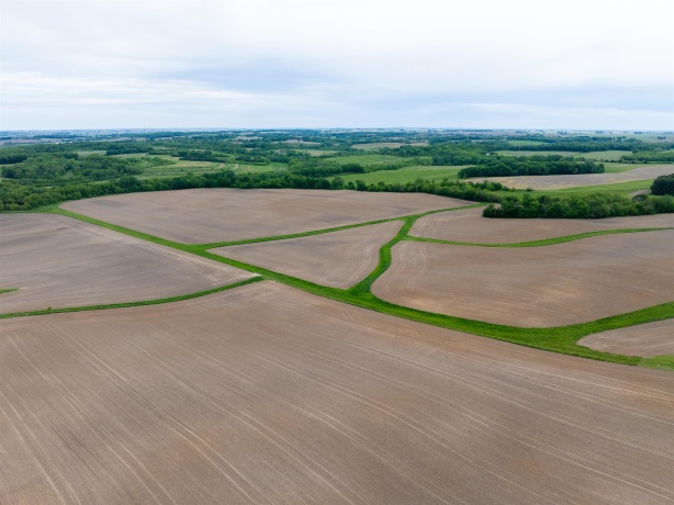 0 Capp, MORRISON, Illinois 61270, ,Land,For Sale,Capp,202502915