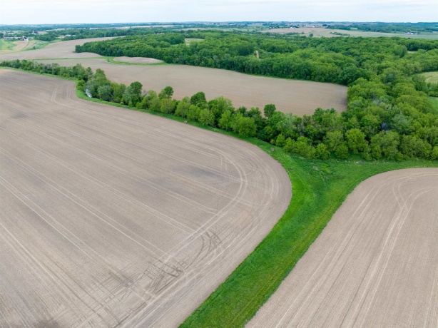 0 Capp, MORRISON, Illinois 61270, ,Land,For Sale,Capp,202502915