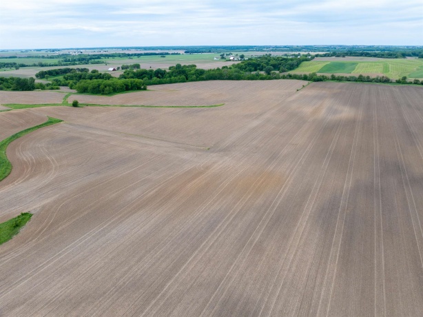 0 Capp, MORRISON, Illinois 61270, ,Land,For Sale,Capp,202502915