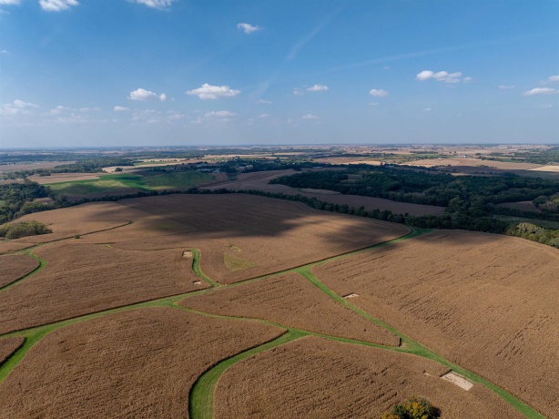 0 Capp, MORRISON, Illinois 61270, ,Land,For Sale,Capp,202502915