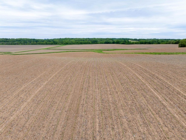 0 Capp, MORRISON, Illinois 61270, ,Land,For Sale,Capp,202502915