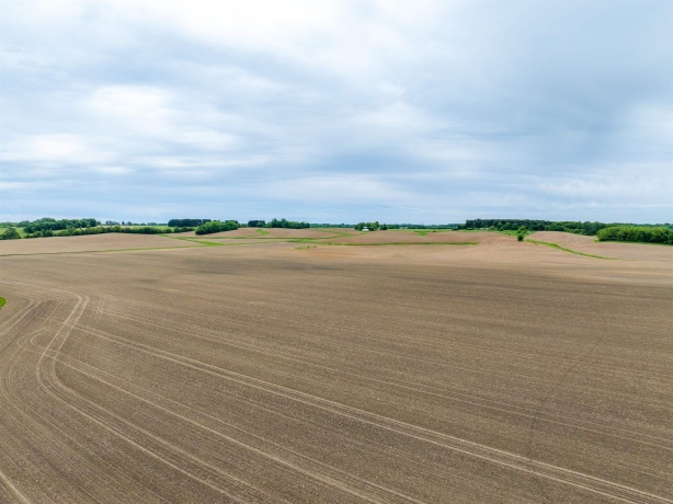 0 Capp, MORRISON, Illinois 61270, ,Land,For Sale,Capp,202502915