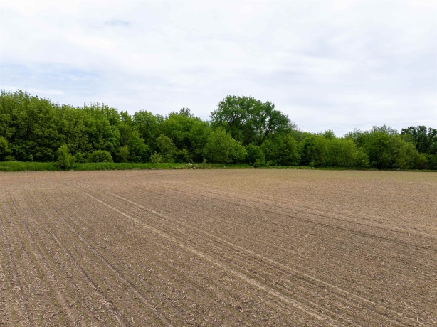 0 Capp, MORRISON, Illinois 61270, ,Land,For Sale,Capp,202502915