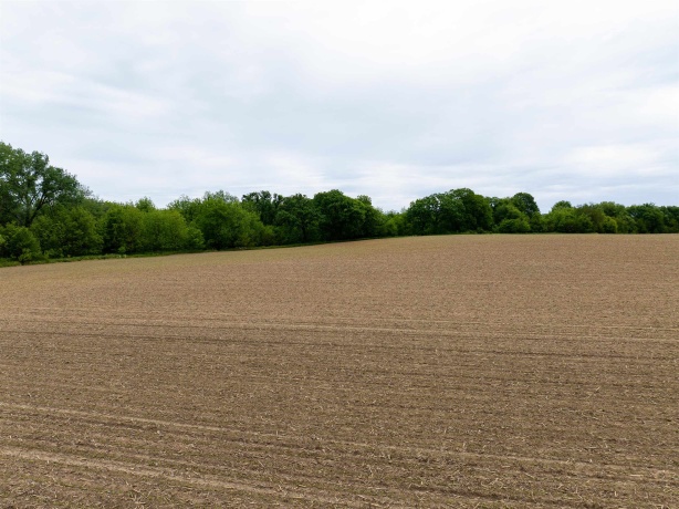 0 Capp, MORRISON, Illinois 61270, ,Land,For Sale,Capp,202502915