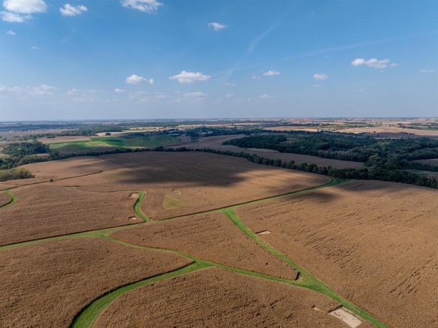 0 Capp, MORRISON, Illinois 61270, ,Land,For Sale,Capp,202502915