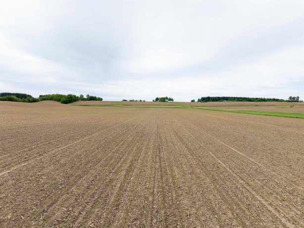 0 Capp, MORRISON, Illinois 61270, ,Land,For Sale,Capp,202502915