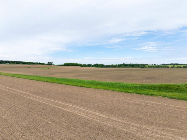 0 Capp, MORRISON, Illinois 61270, ,Land,For Sale,Capp,202502915