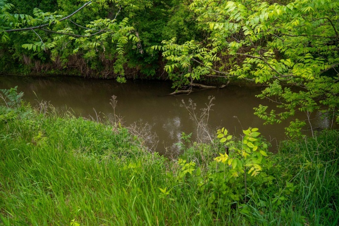 0 Capp, MORRISON, Illinois 61270, ,Land,For Sale,Capp,202502915