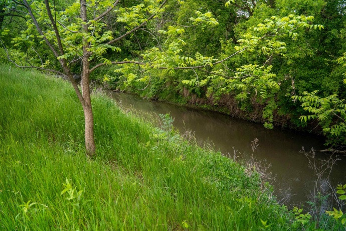 0 Capp, MORRISON, Illinois 61270, ,Land,For Sale,Capp,202502915