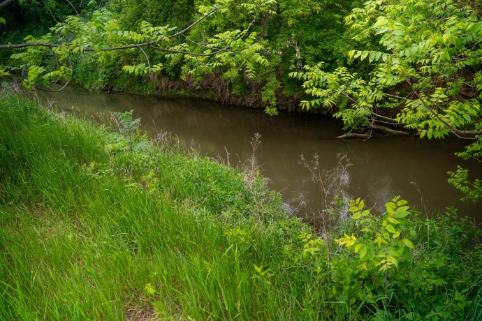 0 Capp, MORRISON, Illinois 61270, ,Land,For Sale,Capp,202502915