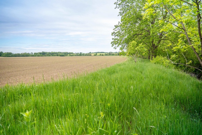 0 Capp, MORRISON, Illinois 61270, ,Land,For Sale,Capp,202502915