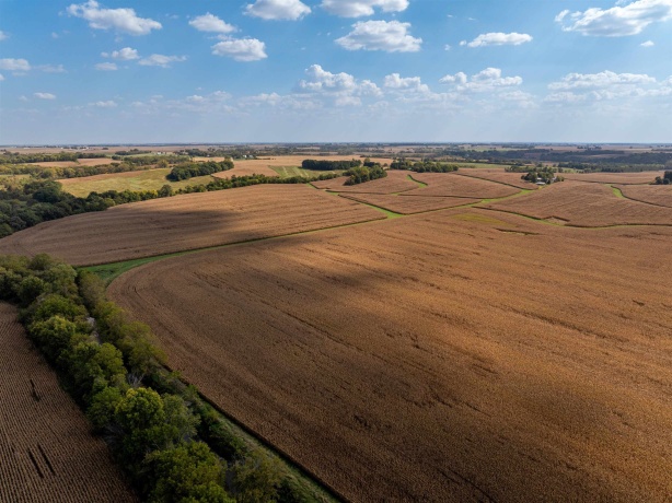 0 Capp, MORRISON, Illinois 61270, ,Land,For Sale,Capp,202502915