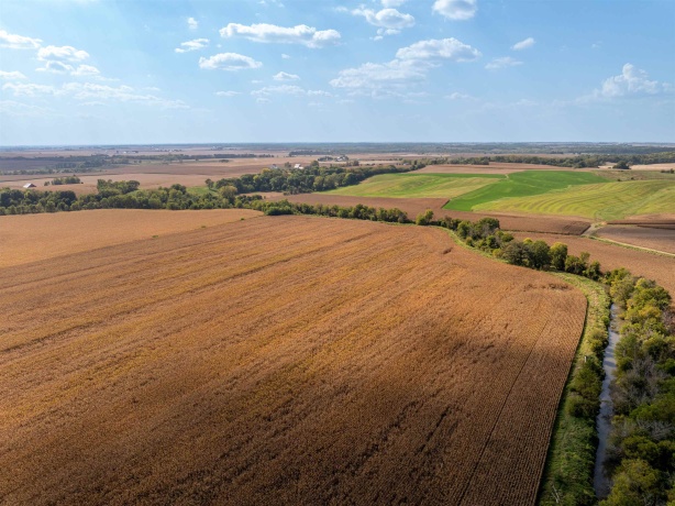 0 Capp, MORRISON, Illinois 61270, ,Land,For Sale,Capp,202502915
