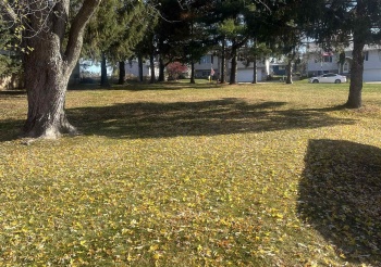 TBD Conrad, EAST DUBUQUE, Illinois 61025, ,Land,For Sale,Conrad,202506973