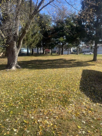 TBD Conrad, EAST DUBUQUE, Illinois 61025, ,Land,For Sale,Conrad,202506973