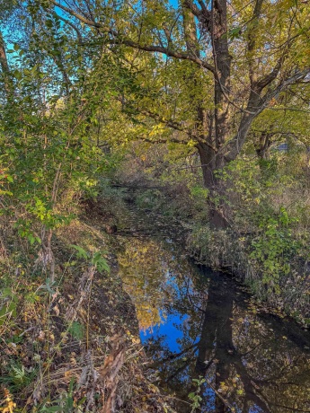 0 Lynnville, LINDENWOOD, Illinois 61049, ,Land,For Sale,Lynnville,202506992