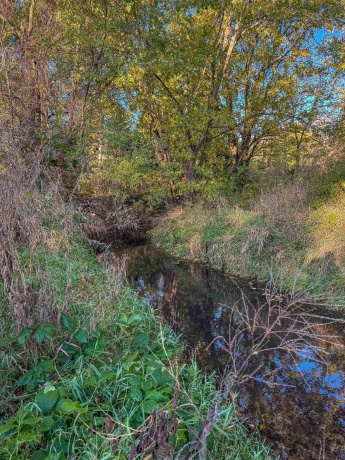 0 Lynnville, LINDENWOOD, Illinois 61049, ,Land,For Sale,Lynnville,202506992