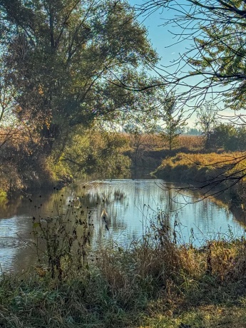 0 Lynnville, LINDENWOOD, Illinois 61049, ,Land,For Sale,Lynnville,202506992