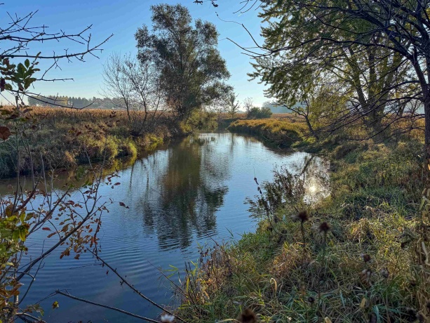 0 Lynnville, LINDENWOOD, Illinois 61049, ,Land,For Sale,Lynnville,202506992