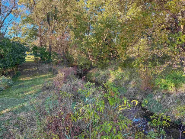 0 Lynnville, LINDENWOOD, Illinois 61049, ,Land,For Sale,Lynnville,202506992