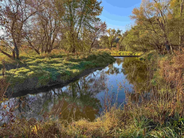 0 Lynnville, LINDENWOOD, Illinois 61049, ,Land,For Sale,Lynnville,202506992