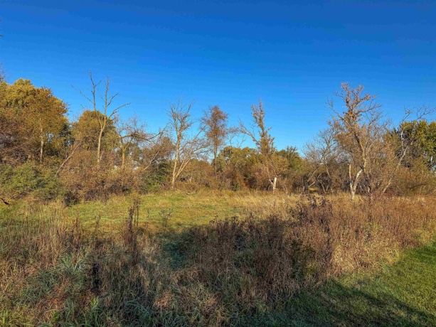 0 Lynnville, LINDENWOOD, Illinois 61049, ,Land,For Sale,Lynnville,202506992