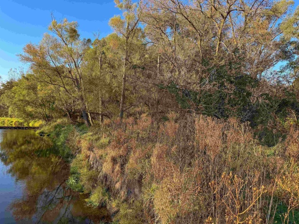 0 Lynnville, LINDENWOOD, Illinois 61049, ,Land,For Sale,Lynnville,202506992