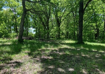 1129 Rutland, MARSEILLES, Illinois 61341, ,Land,For Sale,Rutland,202507064