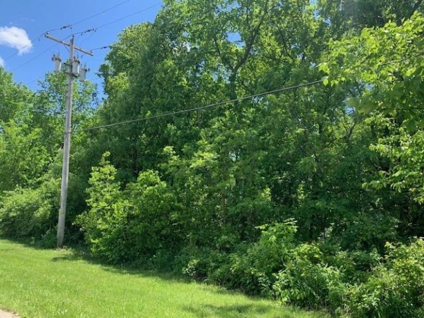 1129 Rutland, MARSEILLES, Illinois 61341, ,Land,For Sale,Rutland,202507064