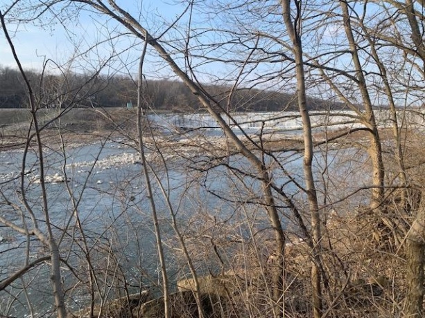 1977 #11 3103, OTTAWA, Illinois 61350, 2 Bedrooms Bedrooms, ,1 BathroomBathrooms,House,For Sale,3103,202507070