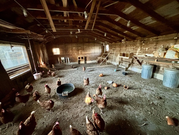 12916 Grange Hall, CAPRON, Illinois 61012, 4 Bedrooms Bedrooms, ,2 BathroomsBathrooms,House,For Sale,Grange Hall,202507073