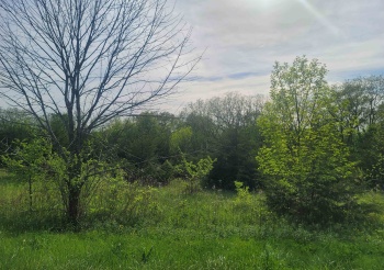 136 Blackhawk, GALENA, Illinois 61036, ,Land,For Sale,Blackhawk,202502399