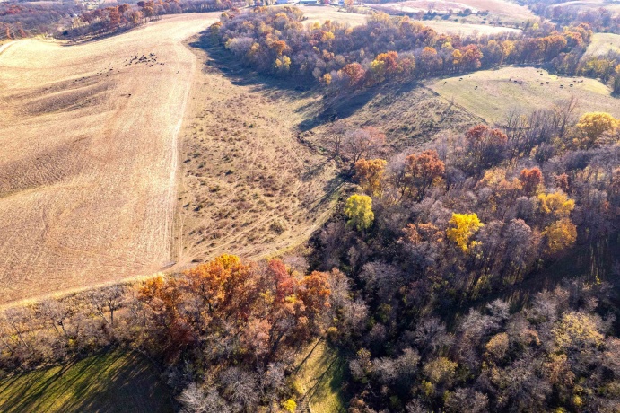 9001 Sundance, SAVANNA, Illinois 61074, ,Land,For Sale,Sundance,202507084