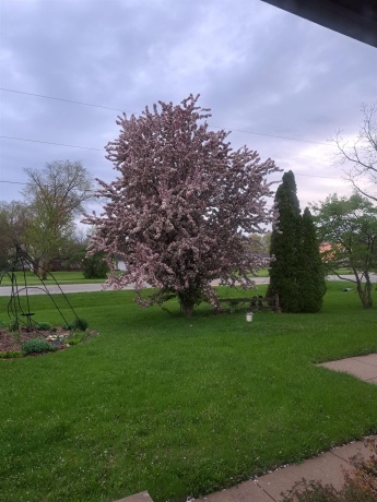 14737 Manor, SOUTH BELOIT, Illinois 61080, 3 Bedrooms Bedrooms, ,3 BathroomsBathrooms,House,For Sale,Manor,202507090