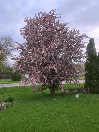 14737 Manor, SOUTH BELOIT, Illinois 61080, 3 Bedrooms Bedrooms, ,3 BathroomsBathrooms,House,For Sale,Manor,202507090