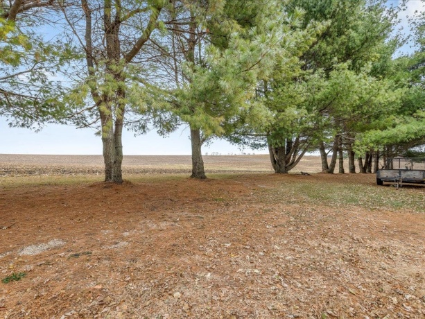 2110 Angle, DAKOTA, Illinois 61018, 4 Bedrooms Bedrooms, ,1 BathroomBathrooms,House,For Sale,Angle,202507106