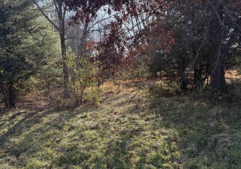 7A255 Tomahawk, APPLE RIVER, Illinois 61001, ,Land,For Sale,Tomahawk,202507123