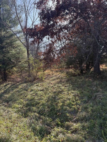 7A255 Tomahawk, APPLE RIVER, Illinois 61001, ,Land,For Sale,Tomahawk,202507123