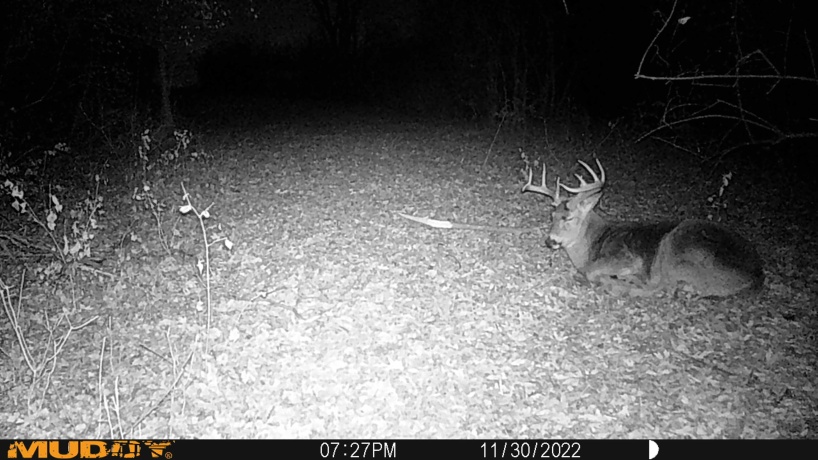 0 US BYPASS 20, FREEPORT, Illinois 61032, ,Land,For Sale,US BYPASS 20,202507125