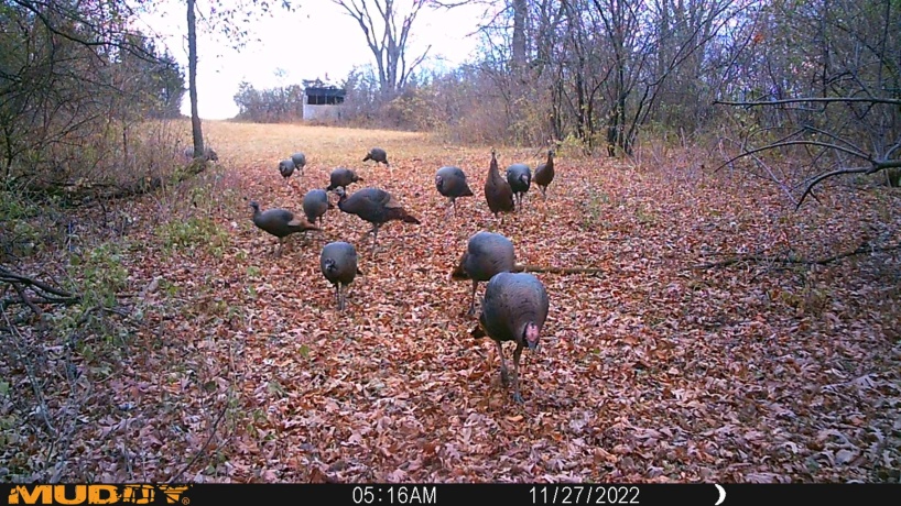 0 US BYPASS 20, FREEPORT, Illinois 61032, ,Land,For Sale,US BYPASS 20,202507125