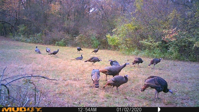 0 US BYPASS 20, FREEPORT, Illinois 61032, ,Land,For Sale,US BYPASS 20,202507125