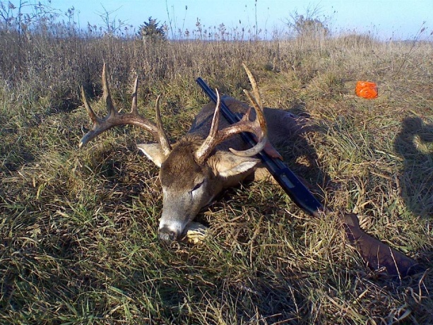 0 US BYPASS 20, FREEPORT, Illinois 61032, ,Land,For Sale,US BYPASS 20,202507125