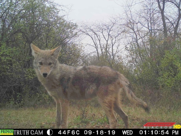 0 US BYPASS 20, FREEPORT, Illinois 61032, ,Land,For Sale,US BYPASS 20,202507125