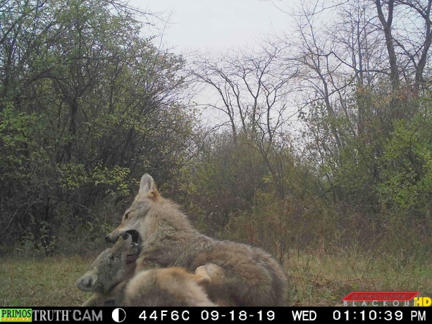 0 US BYPASS 20, FREEPORT, Illinois 61032, ,Land,For Sale,US BYPASS 20,202507125