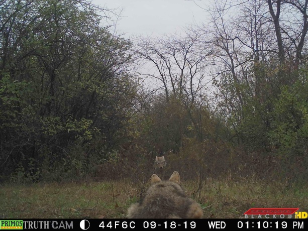 0 US BYPASS 20, FREEPORT, Illinois 61032, ,Land,For Sale,US BYPASS 20,202507125