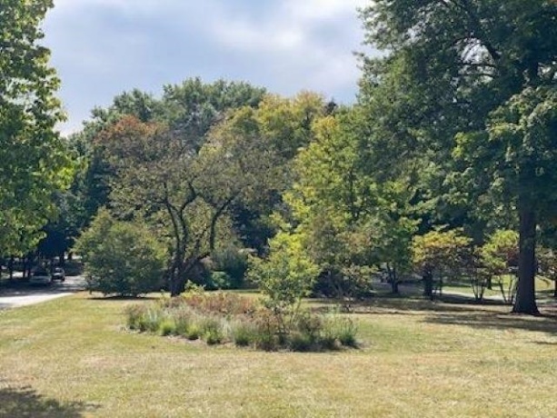 233 Calvin Park, ROCKFORD, Illinois 61107, 3 Bedrooms Bedrooms, ,1 BathroomBathrooms,House,For Sale,Calvin Park,202506203