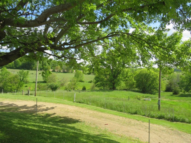 1139 US HWY 20 East, ELIZABETH, Illinois 61028, 3 Bedrooms Bedrooms, ,1 BathroomBathrooms,Farm,For Sale,US HWY 20 East,202502953