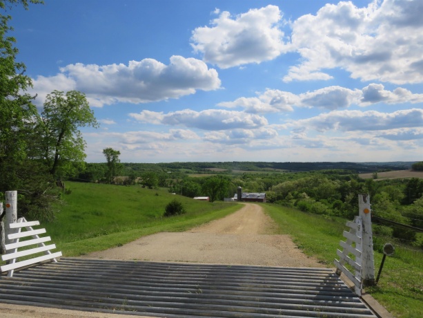 1139 US HWY 20 East, ELIZABETH, Illinois 61028, 3 Bedrooms Bedrooms, ,1 BathroomBathrooms,Farm,For Sale,US HWY 20 East,202502953