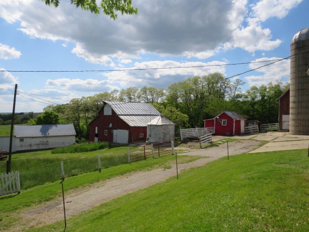 1139 US HWY 20 East, ELIZABETH, Illinois 61028, 3 Bedrooms Bedrooms, ,1 BathroomBathrooms,Farm,For Sale,US HWY 20 East,202502953